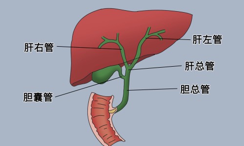 肌炎病人不能吃的东西-肌炎病人哪些食物能吃网肌炎不能吃的食物知识网站,分享肌炎病人不能吃的东西大全