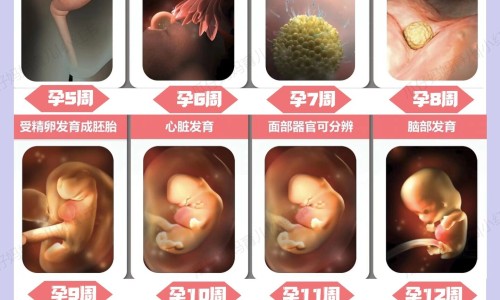 肌炎病人哪些食物能吃网肌炎不能吃的食物知识网站,分享肌炎病人不能吃的东西大全